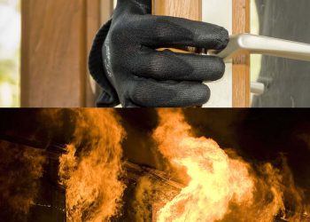 Fire-Burglary-Insurance
